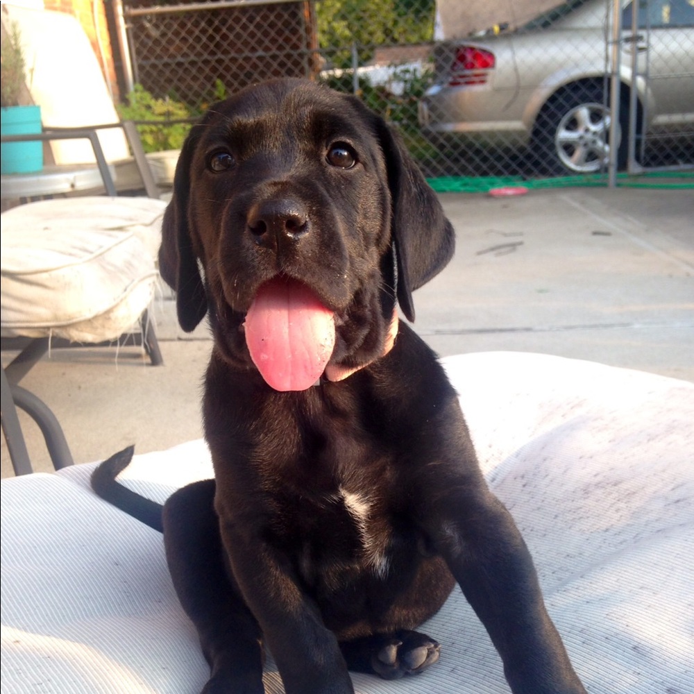 Meet your Posher, Barb